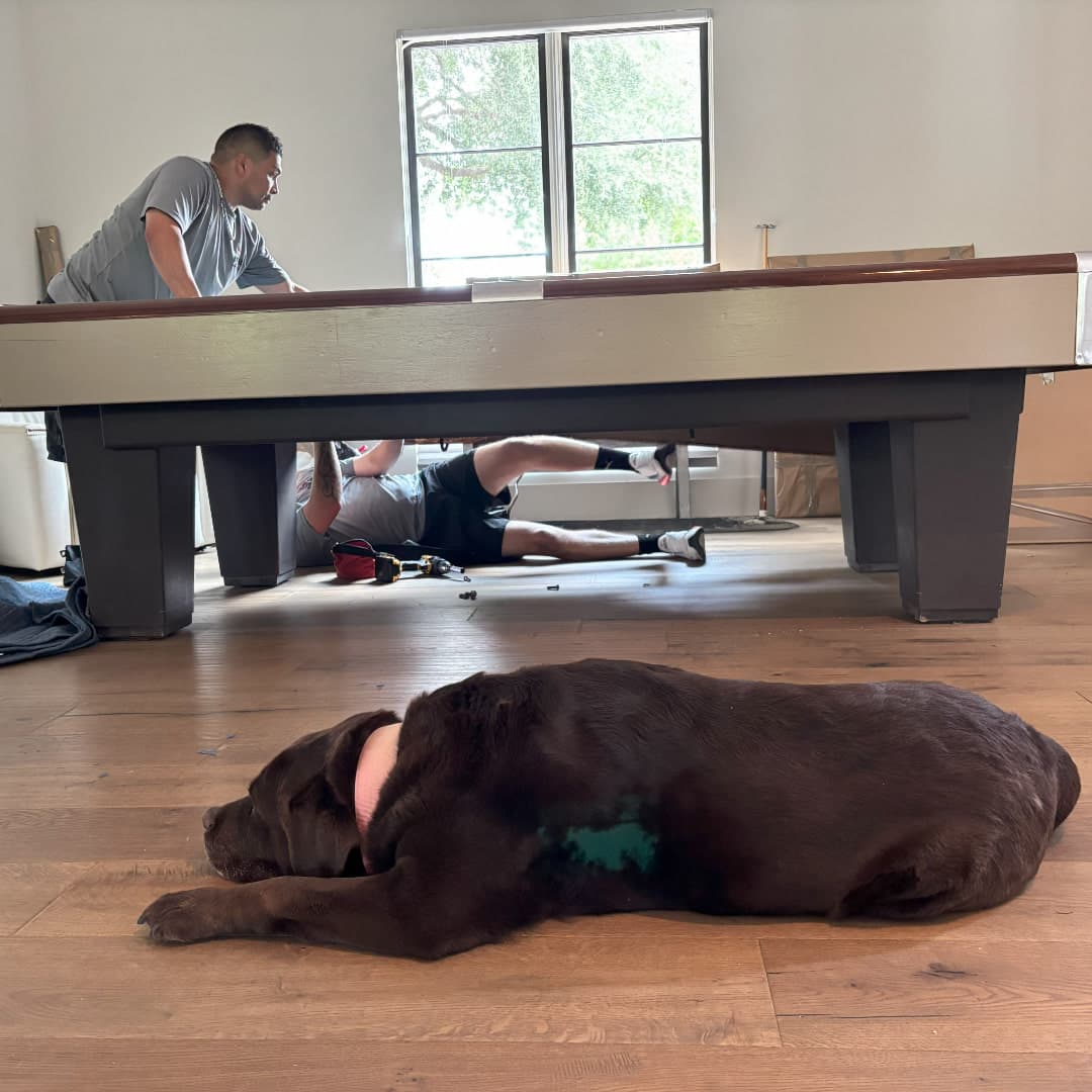 Pool Table