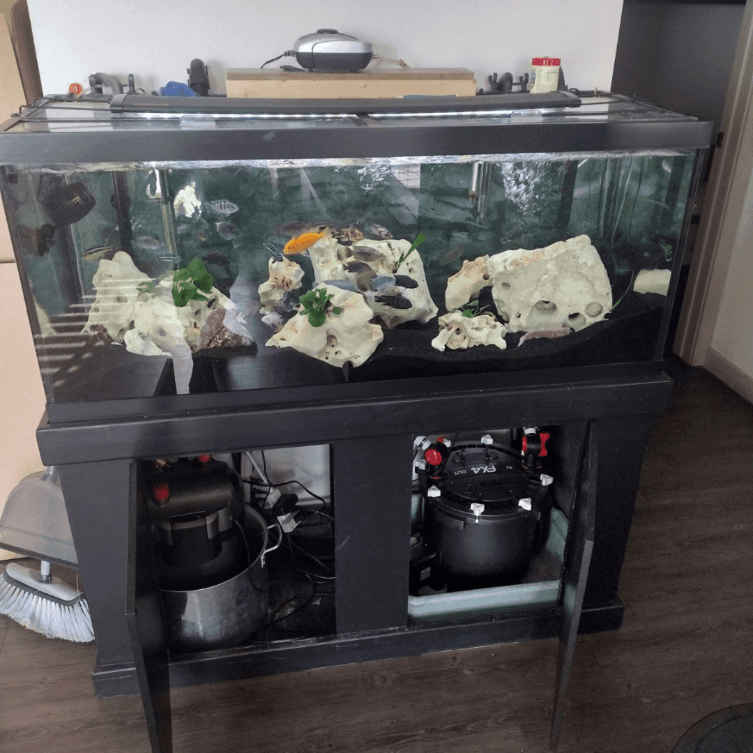 Aquarium tank in transit with full protection