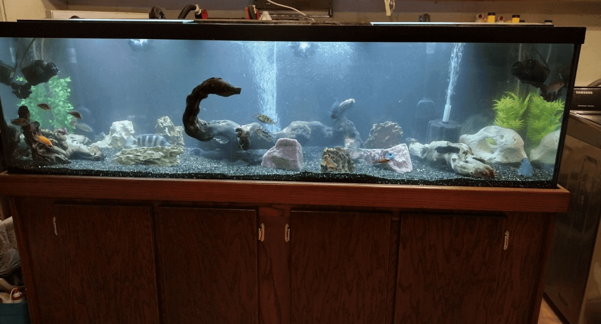 Oversized aquarium on a reinforced moving platform