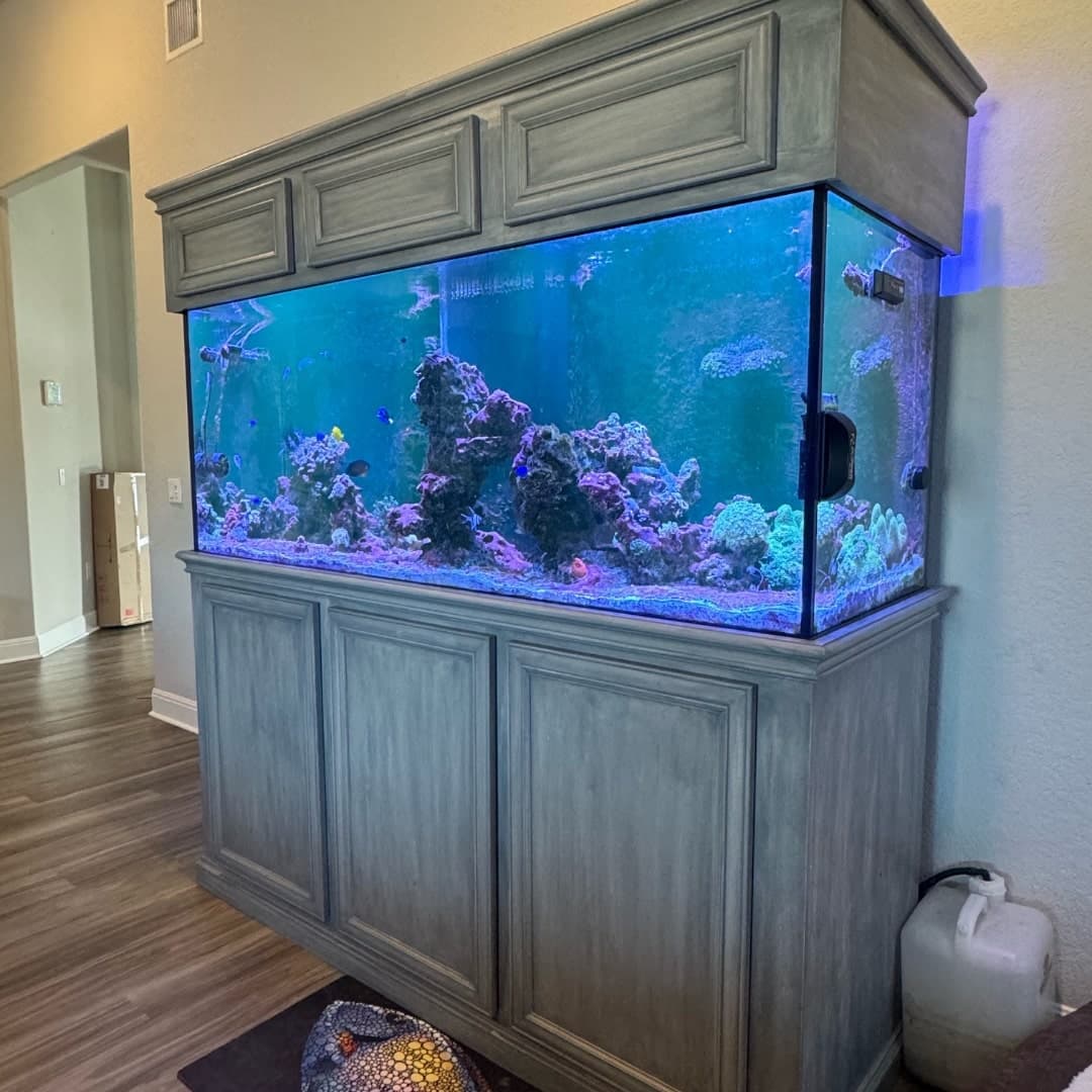 Large fish tank wrapped for residential move