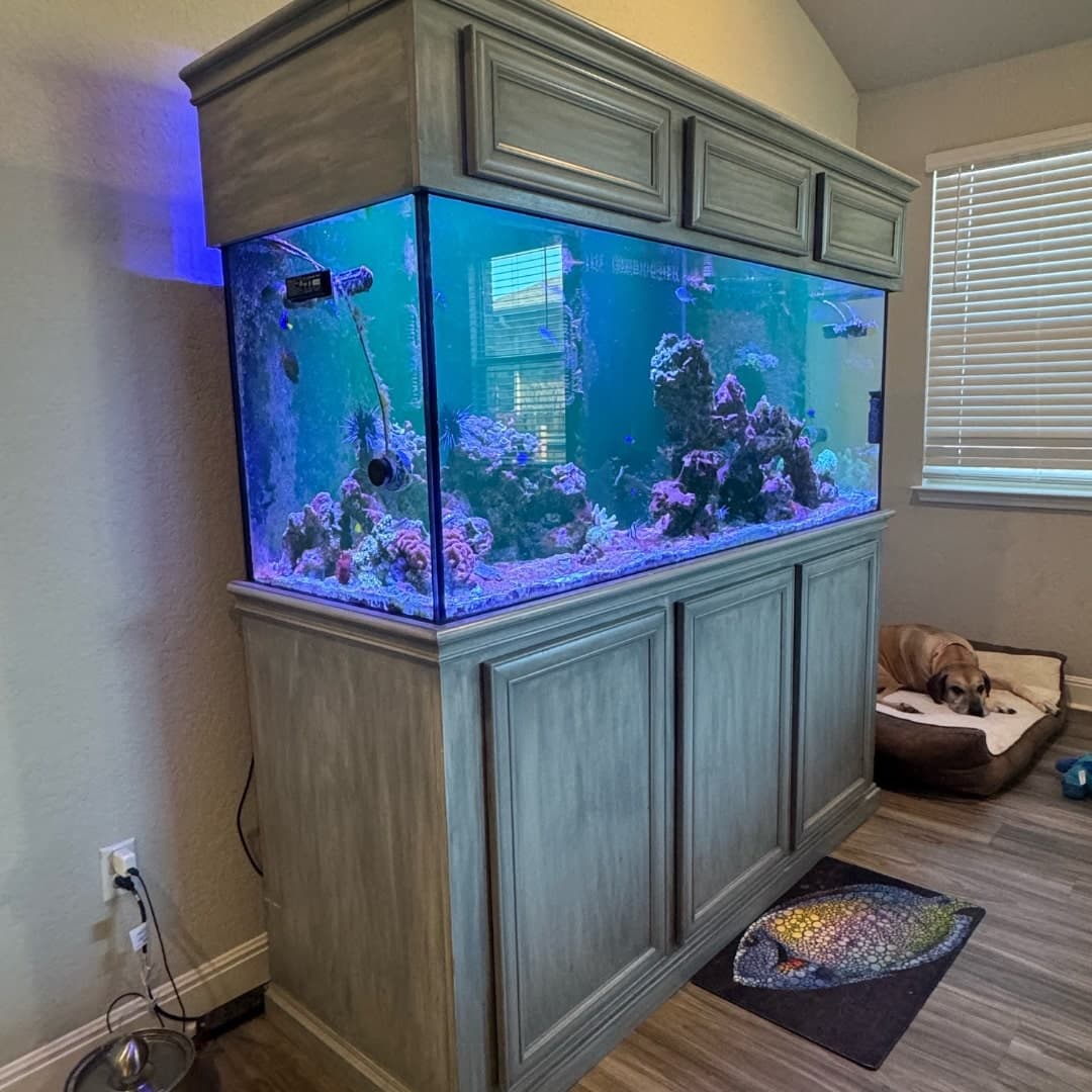 Aquarium tank loaded in a moving vehicle with padding