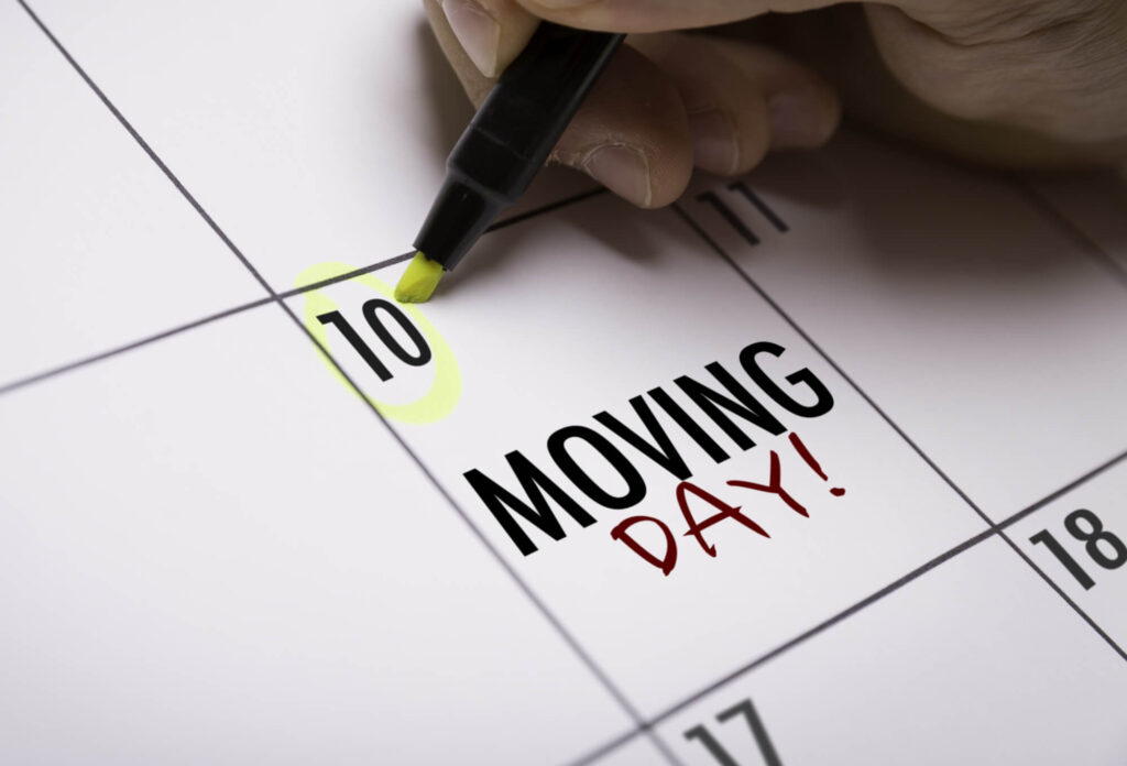 muscleman - moving day tips